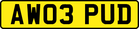 AW03PUD