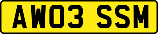 AW03SSM