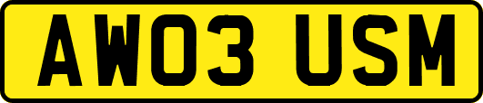 AW03USM
