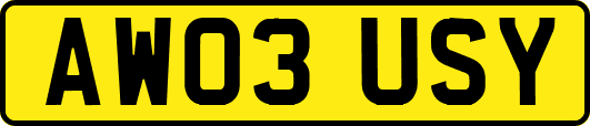 AW03USY