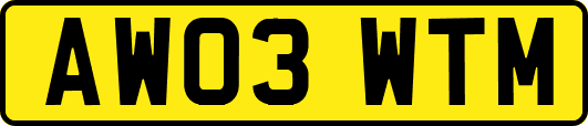 AW03WTM