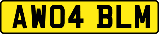AW04BLM