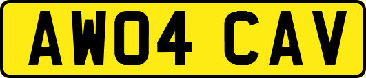 AW04CAV