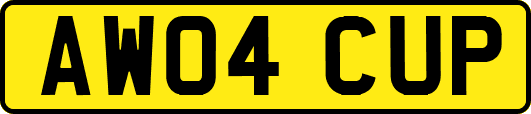 AW04CUP