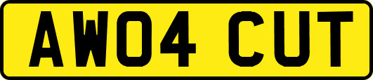AW04CUT