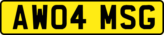 AW04MSG