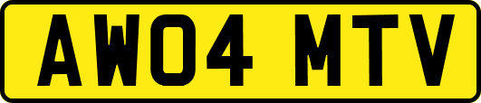 AW04MTV