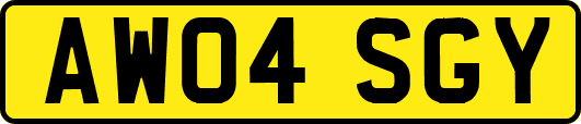 AW04SGY