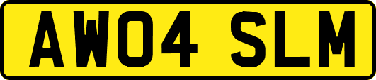 AW04SLM