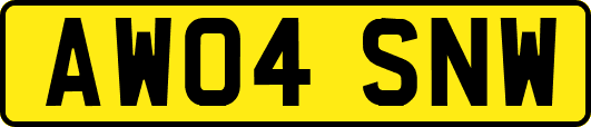AW04SNW