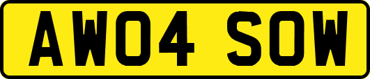 AW04SOW