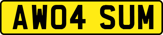 AW04SUM