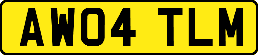 AW04TLM