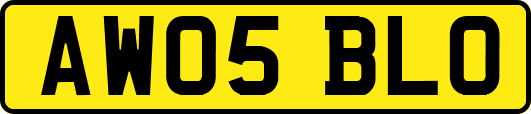 AW05BLO