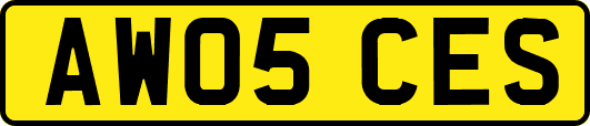 AW05CES