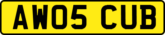 AW05CUB