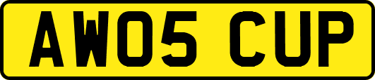 AW05CUP