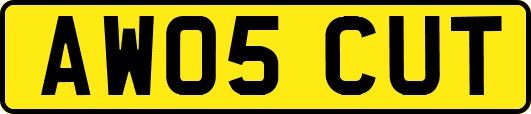AW05CUT