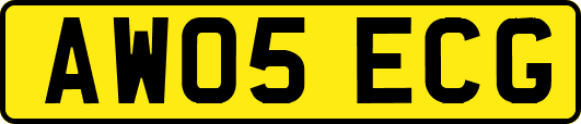 AW05ECG