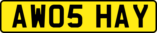 AW05HAY