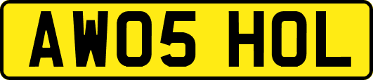 AW05HOL