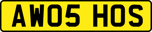 AW05HOS