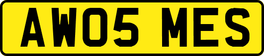 AW05MES