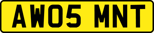 AW05MNT