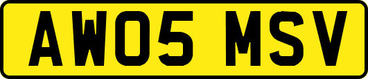 AW05MSV