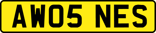 AW05NES