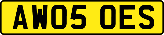 AW05OES