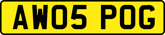 AW05POG