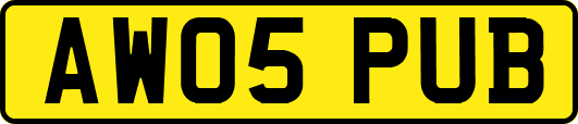 AW05PUB