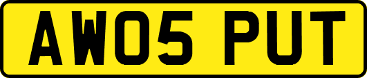 AW05PUT