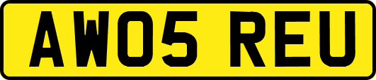 AW05REU