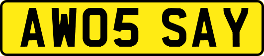 AW05SAY