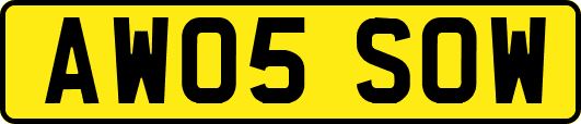 AW05SOW