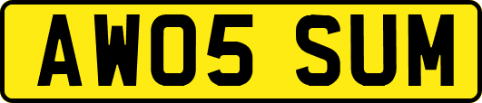 AW05SUM