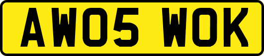 AW05WOK