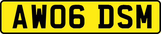 AW06DSM