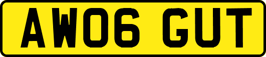 AW06GUT