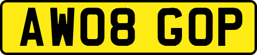 AW08GOP