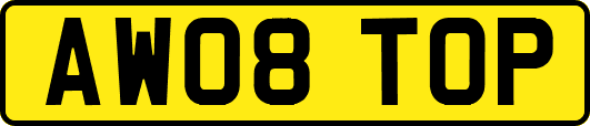 AW08TOP