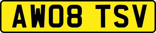 AW08TSV