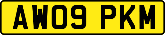AW09PKM