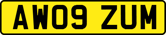 AW09ZUM