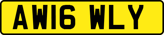 AW16WLY