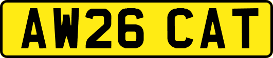 AW26CAT