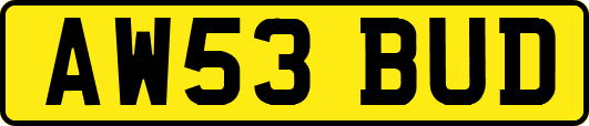 AW53BUD