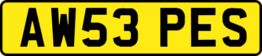 AW53PES